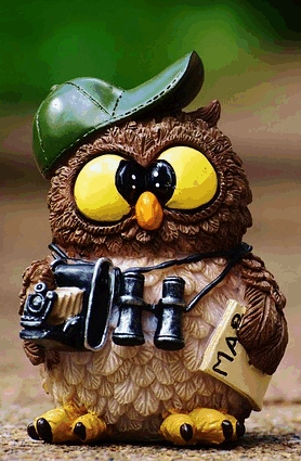 owl-964011-pixabay-256c.jpg