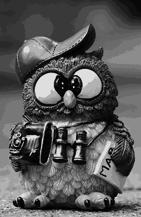 owl-964011-pixabay-16-nb.jpg